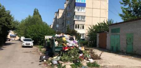 Опять обнаружена свалка мусора в Ельце!