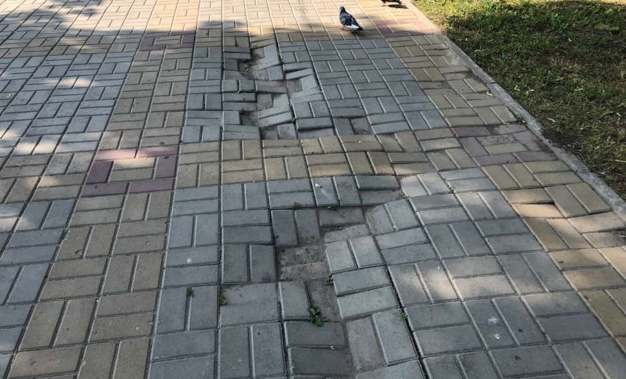 Ио мэра Ельца Жабин не реагирует на городские проблемы!