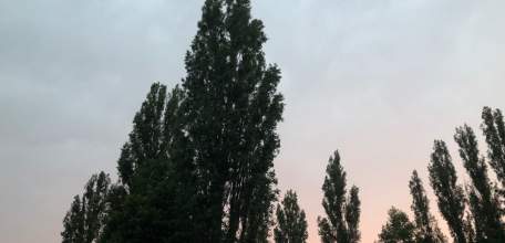 Объявлен желтый уровень "Воздушная опасность" по Липецкой области