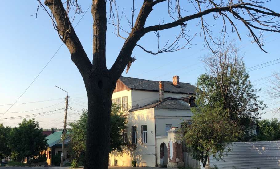Общественность города Ельца просит привлечь к ответственности бывшего главу города Ельца Е.Боровских и других лиц!