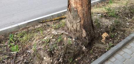 Общественность города Ельца просит привлечь к ответственности бывшего главу города Ельца Е.Боровских и других лиц!