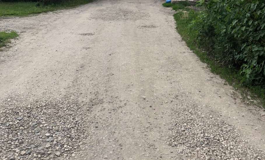 Жители Партизанского переулка в Засосне просят наконец сделать им заасфальтированную дорогу!