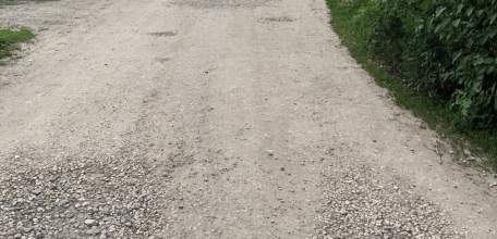 Жители Партизанского переулка в Засосне просят наконец сделать им заасфальтированную дорогу!