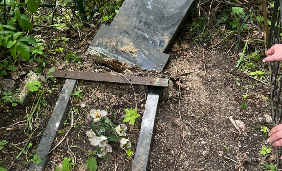 В Ельце на старом городском кладбище сломаны оградки и повреждены памятники после спиливания деревьев! Виновных хотят призвать к ответу!