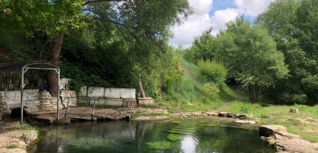 Черникин пруд, лес, родник Гремучий - нуждаются в уходе!