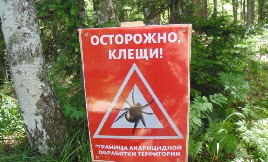 Инфицирован каждый пятый клещ в Липецкой области!