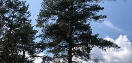 Отбой Красного уровня "Угроза атаки БПЛА"по Липецкой области