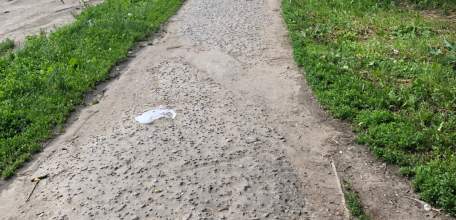 На территории г. Ельца в период с 23 по 27 июня 2025 года будет проводиться целенаправленное профилактическое мероприятие «Должник»