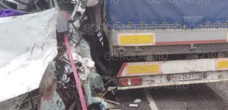 Водитель «ГАЗели» погиб в столкновении с «Мерседесом» в Становлянском районе!