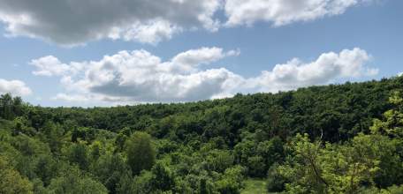 В суд направлено уголовное дело о незаконной охоте на особо охраняемой природной территории в Елецком районе
