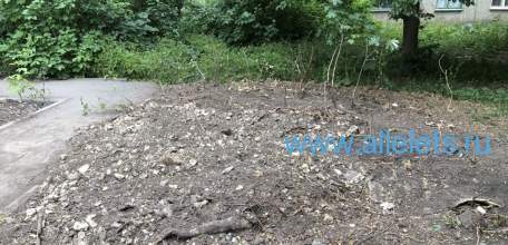 В Ельце «выбрали», какие скверы будут благоустраивать по второму разу!!!