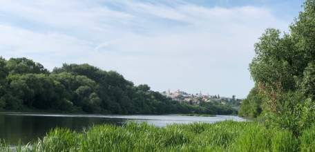 Рыба в реках Липецкой области заражена гельминтами!