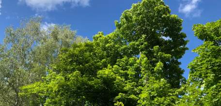 Отбой желтого уровня "Воздушной опасности" для Липецкой области