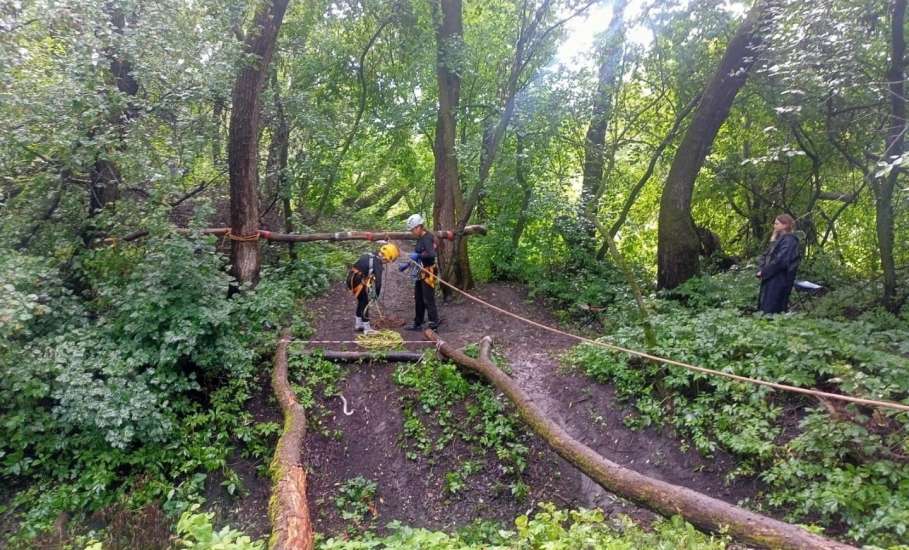 Спортсмены из Ельца стали серебряными призёрами областного слёта юных туристов 2025