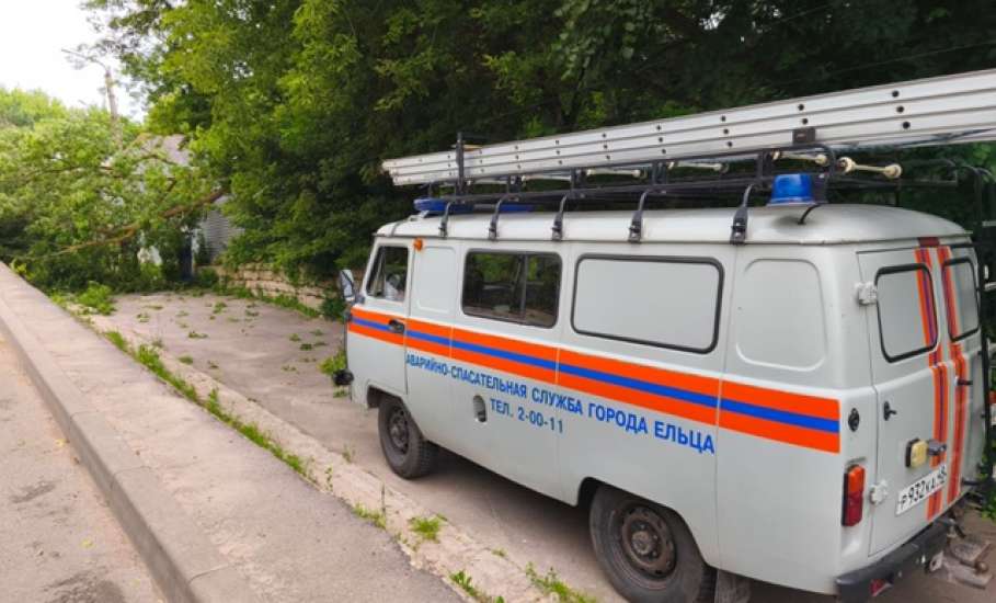 По улице Маяковского сегодня упало дерево на тротуар в Ельце!