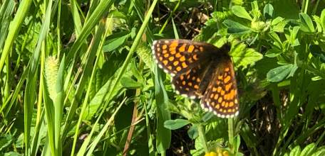Отбой желтого уровня "Воздушной опасности" для Липецкой области