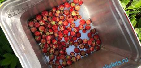 Цены на свежие ягоды в Ельце кусаются!