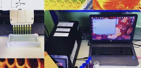 В Липецкой области в крупной партии меда обнаружены метаболиты нитрофуранов!