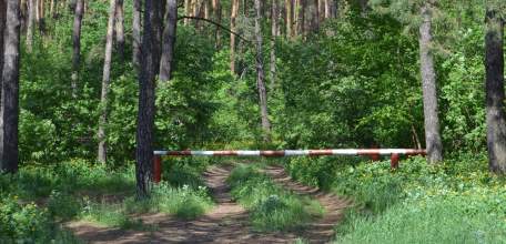 С 4 по 24 мая в Липецкой области введено ограничение на посещение лесов