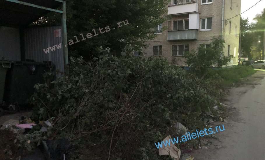 В Ельце продолжается несвоевременный вывоз мусора и рост свалок!