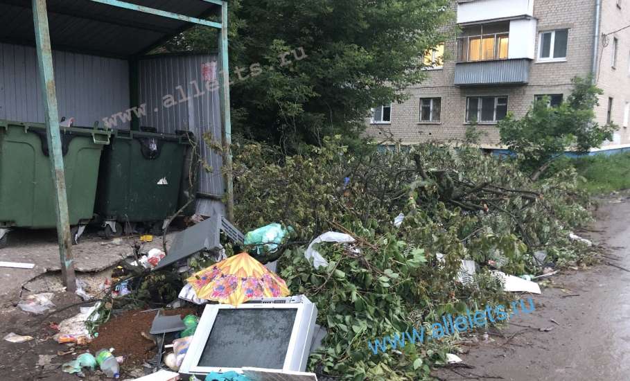 В Ельце продолжается несвоевременный вывоз мусора и рост свалок!