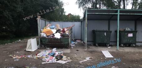 В Ельце продолжается несвоевременный вывоз мусора и рост свалок!