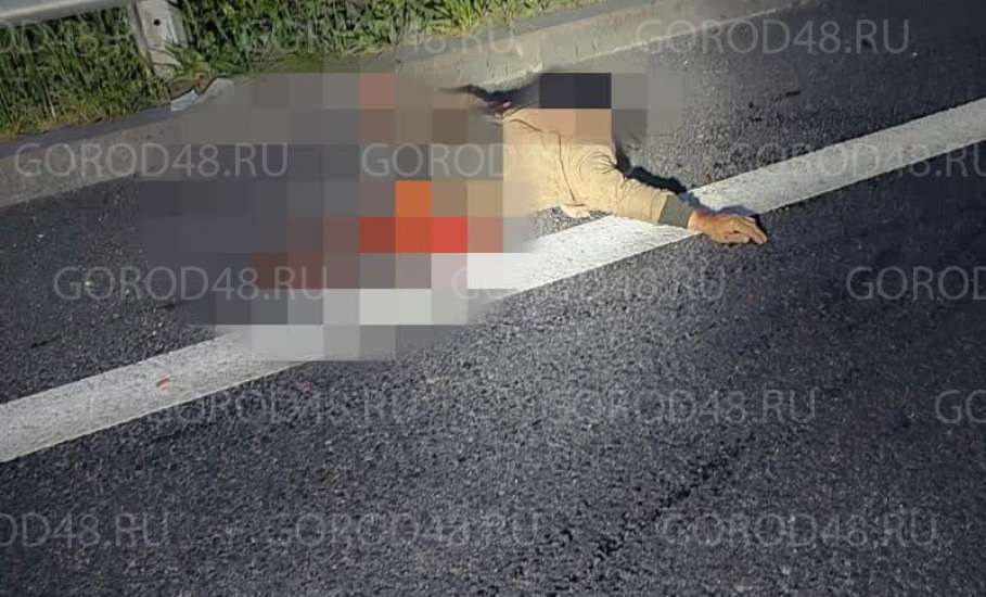 Жуткая в полном смысле этого слова авария произошла на елецкой трассе: 49-летний мужчина попал под «БМВ» и его разорвало на части