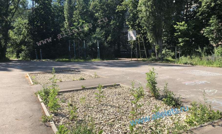А вот так выглядит заброшенный «сквер» в микрорайоне Новые Дома!