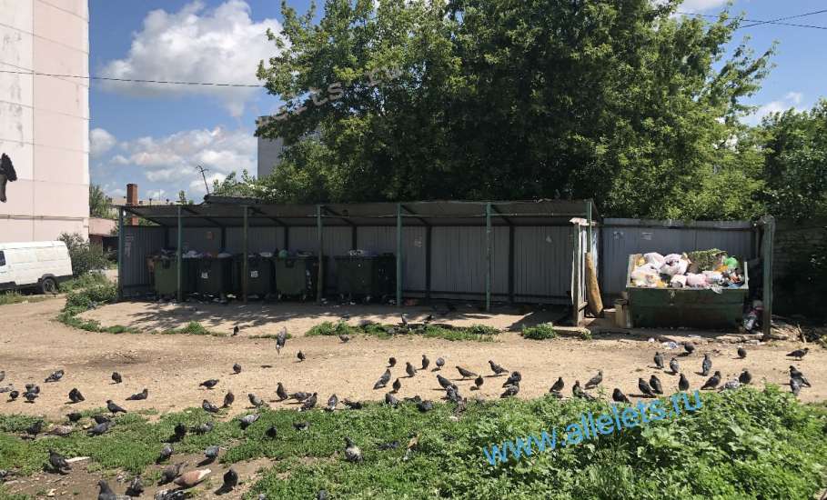 Сегодня днём в Ельце снова выявлены жителями нарушения «Тэко Сервисом» обязанности по своевременному вывозу мусора!