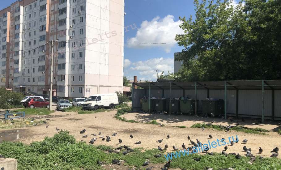 Сегодня днём в Ельце снова выявлены жителями нарушения «Тэко Сервисом» обязанности по своевременному вывозу мусора!