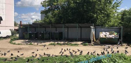 Сегодня днём в Ельце снова выявлены жителями нарушения «Тэко Сервисом» обязанности по своевременному вывозу мусора!