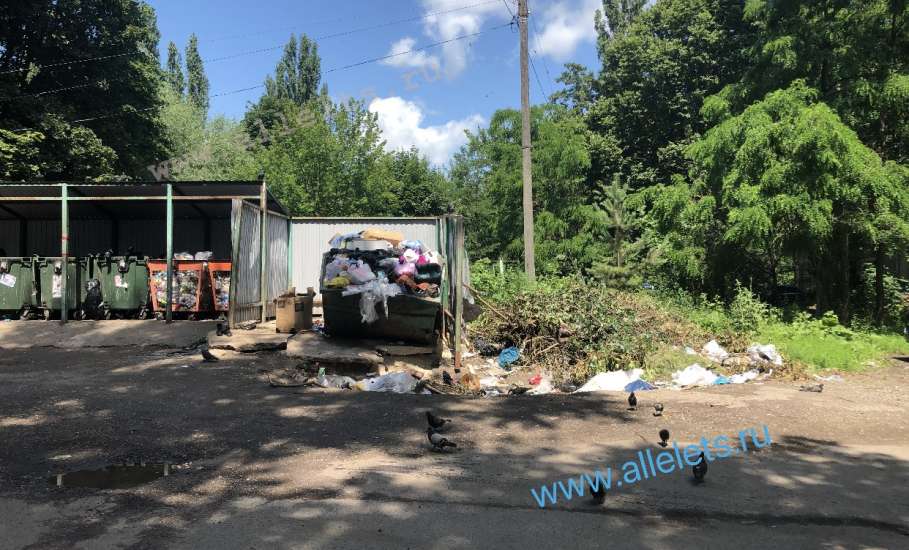 ‼️Переполненный бункер с мусором в Ельце по Улице Коммунаров, у домов 103, 105, рядом с детским садиком