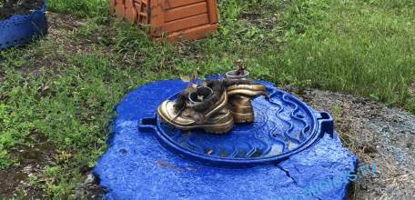 В попытке заработать на инвестициях ельчанка лишилась своих денег!