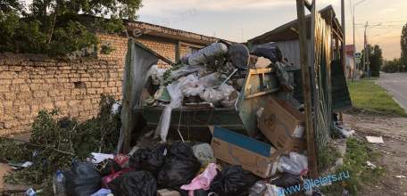 Елец погряз в мусоре! И продолжает им зарастать! Полное бездействие!