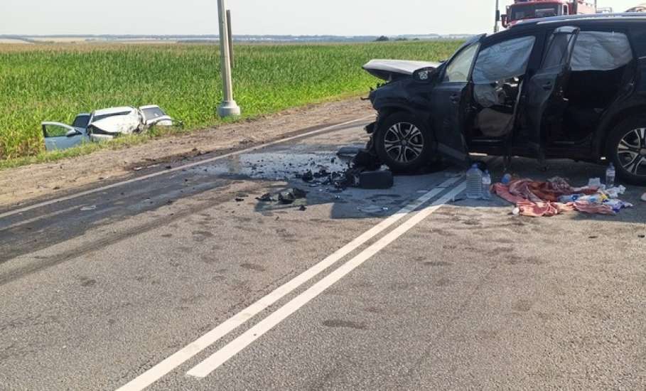 В Добринском районе сотрудники полиции устанавливают обстоятельства смертельного ДТП