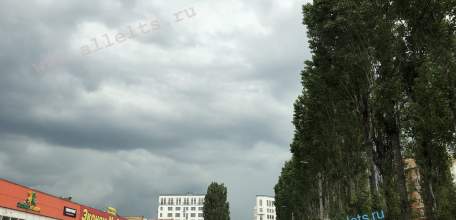 В Ельце возбуждено уголовное дело о приготовлении к даче взятки