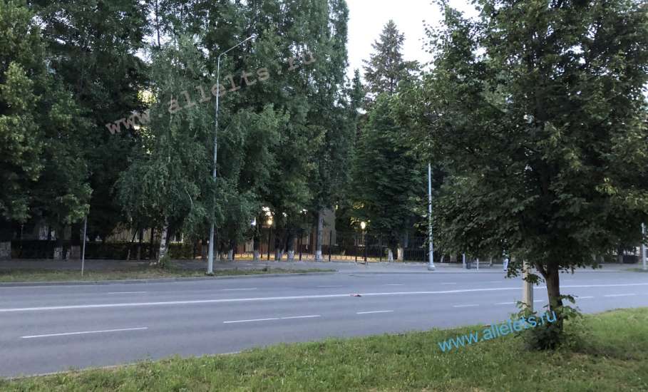 В закрытой изнутри квартире в Ельце нашли полуразложившийся труп