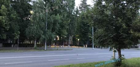 В закрытой изнутри квартире в Ельце нашли полуразложившийся труп