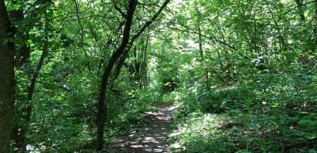 В Елецком районе похитили двух подростков и вывезли в Лес!