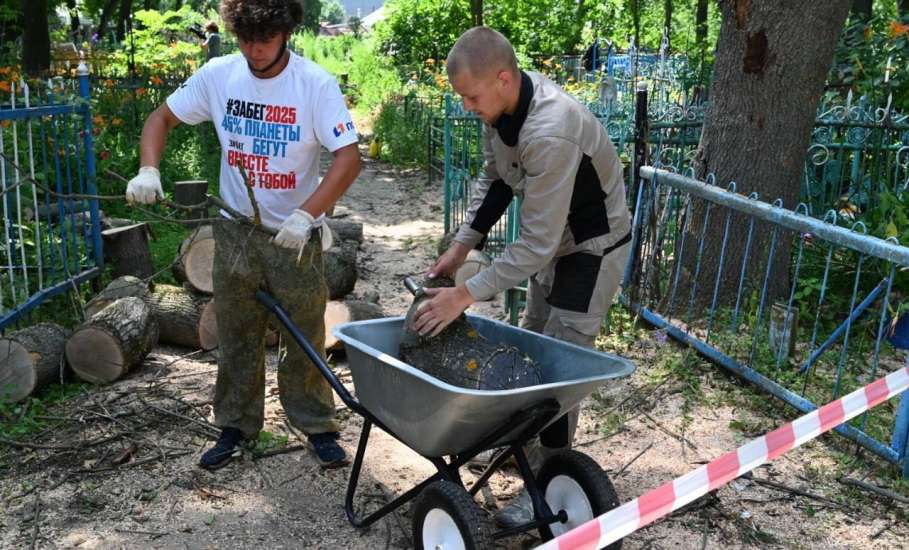 Жители Ельца переживают за гнёзда птиц на деревьях, которые десятилетиями живут на старом городском кладбище!