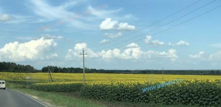 Объявлен желтый уровень "Воздушная опасность" по Липецкой области