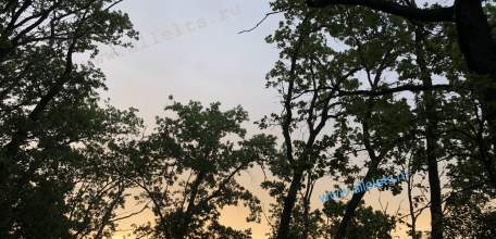 Отбой желтого уровня "Воздушной опасности" для Липецкой области