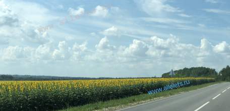 Объявлен желтый уровень "Воздушная опасность" по Липецкой области!