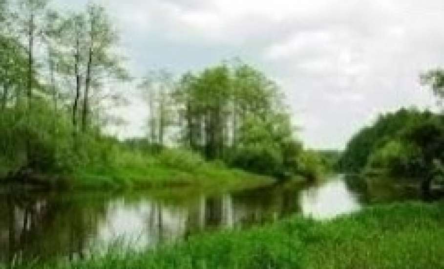 Мужчина утонул в заводи ручья в Липецкой области!