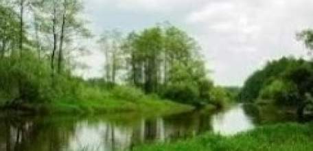 Мужчина утонул в заводи ручья в Липецкой области!