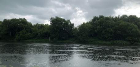 Главное управление МЧС России по Липецкой области предупреждает о надвигающемся дожде и грозе!