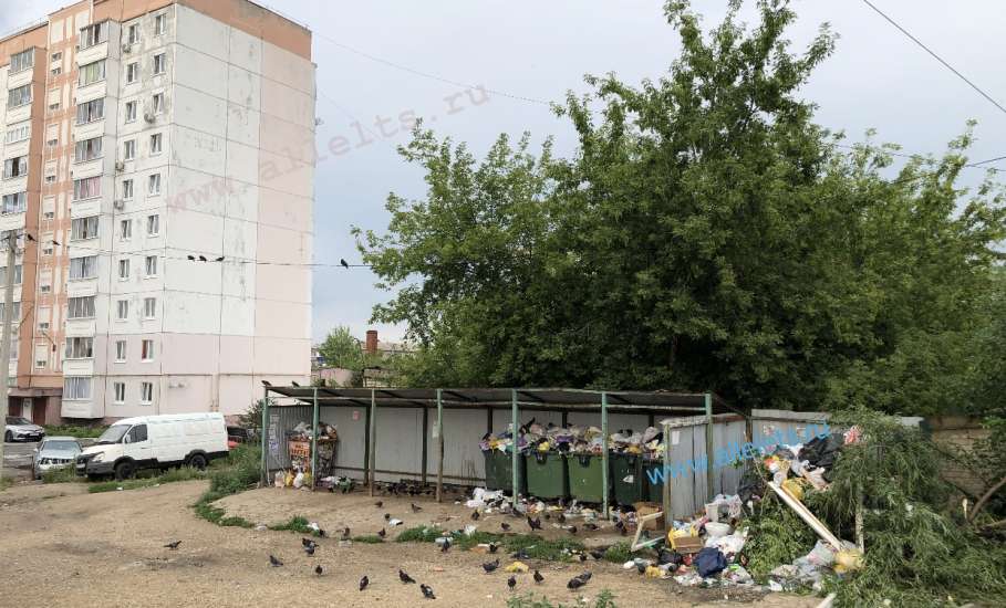 Снова переполненные контейнеры и бункер с мусором сегодня заметили в Ельце в 7-ом микрорайоне по улице Коммунаров!
