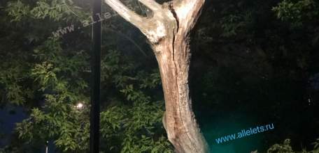 Объявлен желтый уровень "Воздушная опасность" по Липецкой области