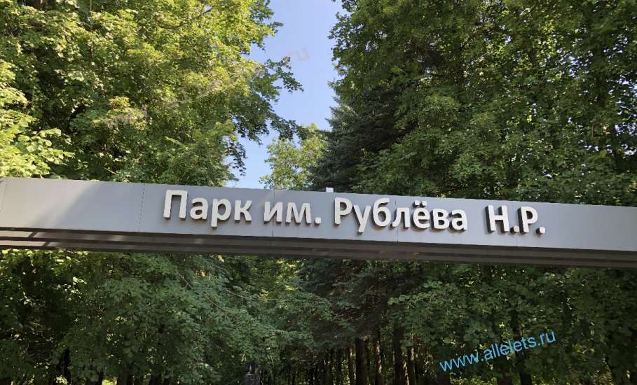 В Липецкую область «прилетели» розовые фламинго!