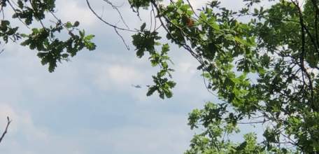 1 БПЛА уничтожен над Липецкой областью